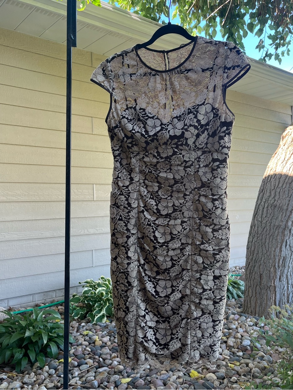 Cache Champagne Brown Floral Lace Sheath Cocktail Dress Size 8